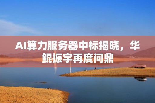 AI算力服务器中标揭晓，华鲲振宇再度问鼎