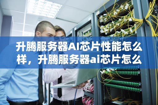 升腾服务器AI芯片性能怎么样，升腾服务器ai芯片怎么样啊