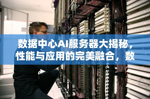 数据中心AI服务器大揭秘，性能与应用的完美融合，数据中心ai服务器有哪些功能