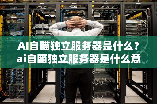 AI自瞄独立服务器是什么？ai自瞄独立服务器是什么意思
