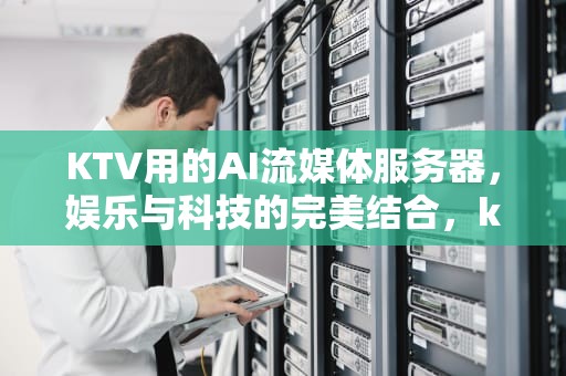 KTV用的AI流媒体服务器，娱乐与科技的完美结合，ktv用的ai流媒体服务器叫什么