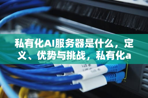 私有化AI服务器是什么，定义、优势与挑战，私有化ai服务器是什么意思