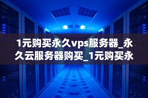 1元购买永久vps服务器_永久云服务器购买_1元购买永久VPS服务器的深度解析
