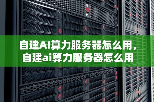 自建AI算力服务器怎么用，自建ai算力服务器怎么用