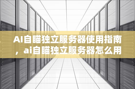 AI自瞄独立服务器使用指南，ai自瞄独立服务器怎么用的