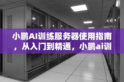 小鹏AI训练服务器使用指南，从入门到精通，小鹏ai训练服务器怎么用的