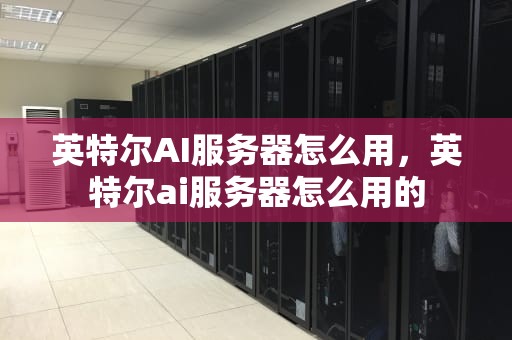 英特尔AI服务器怎么用，英特尔ai服务器怎么用的
