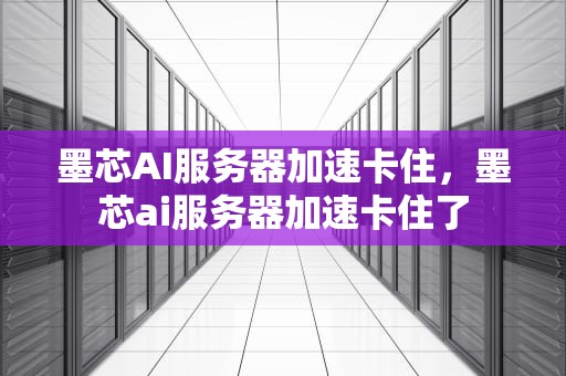 墨芯AI服务器加速卡住，墨芯ai服务器加速卡住了