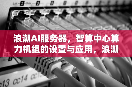 浪潮AI服务器，智算中心算力机组的设置与应用，浪潮ai服务器算力机组设置方法