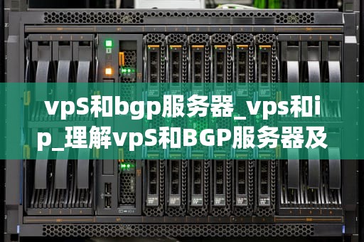 vpS和bgp服务器_vps和ip_理解vpS和BGP服务器及其应用