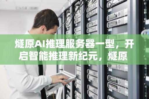 燧原AI推理服务器一型，开启智能推理新纪元，燧原 coo