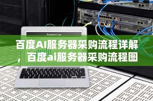 百度AI服务器采购流程详解，百度ai服务器采购流程图