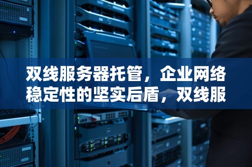 双线服务器托管，企业网络稳定性的坚实后盾，双线服务器租用托管