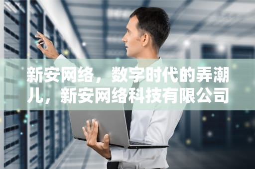 新安网络，数字时代的弄潮儿，新安网络科技有限公司
