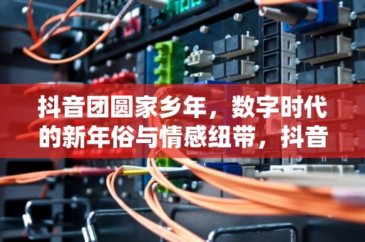 抖音团圆家乡年，数字时代的新年俗与情感纽带，抖音团圆家乡年活动分析