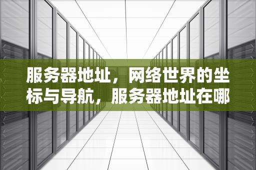服务器地址，网络世界的坐标与导航，服务器地址在哪里看