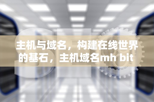 主机与域名，构建在线世界的基石，主机域名mh bit edu cn中最高域