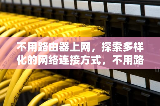 不用路由器上网，探索多样化的网络连接方式，不用路由器上网的叫什么设备