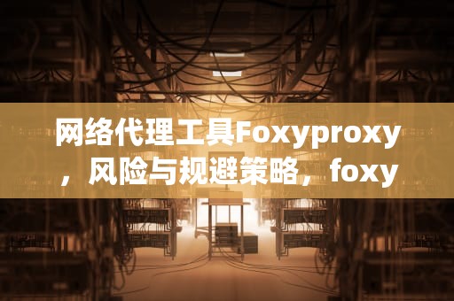 网络代理工具Foxyproxy，风险与规避策略，foxyproxy无法读取和更改此网站的数据