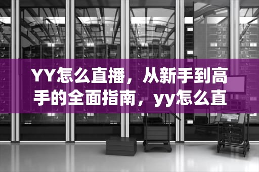 YY怎么直播，从新手到高手的全面指南，yy怎么直播游戏画面