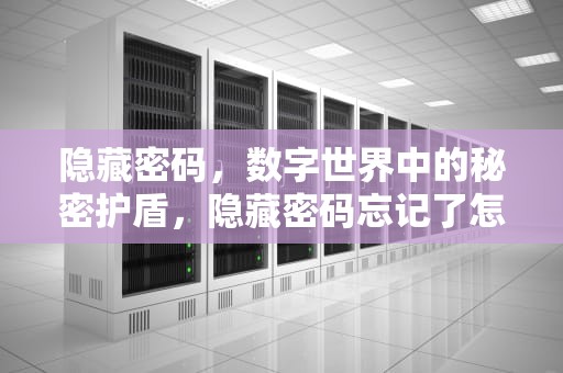 隐藏密码，数字世界中的秘密护盾，隐藏密码忘记了怎么找回密码