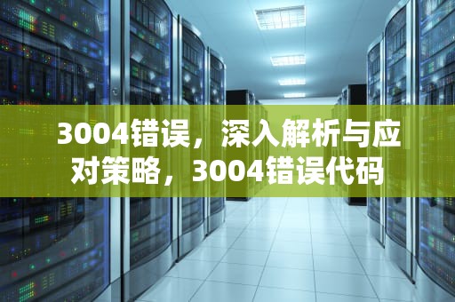 3004错误，深入解析与应对策略，3004错误代码