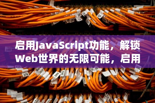 启用JavaScript功能，解锁Web世界的无限可能，启用JAVASCRIPT功能
