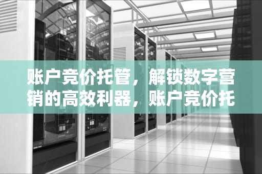 账户竞价托管，解锁数字营销的高效利器，账户竞价托管哪里好