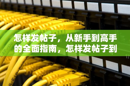 怎样发帖子，从新手到高手的全面指南，怎样发帖子到网上
