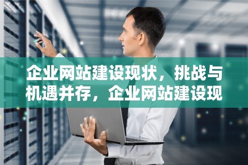 企业网站建设现状，挑战与机遇并存，企业网站建设现状分析