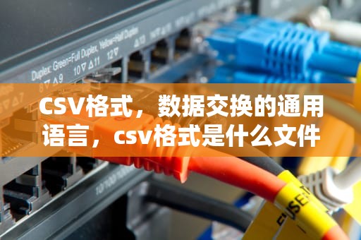 CSV格式，数据交换的通用语言，csv格式是什么文件