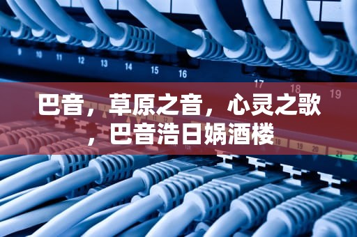巴音，草原之音，心灵之歌，巴音浩日娲酒楼