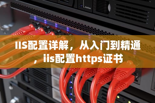 IIS配置详解，从入门到精通，iis配置https证书
