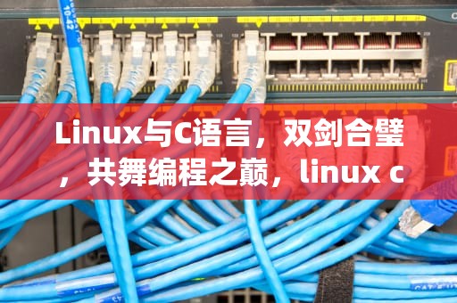 Linux与C语言，双剑合璧，共舞编程之巅，linux cp命令详解