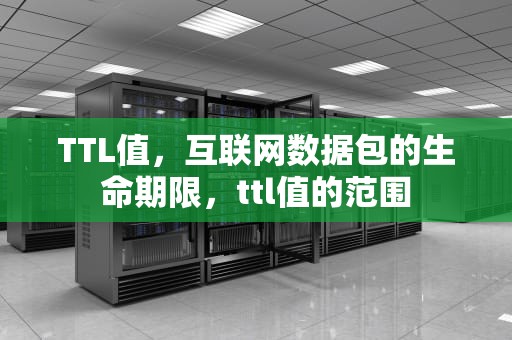 TTL值，互联网数据包的生命期限，ttl值的范围