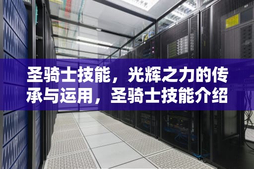 圣骑士技能，光辉之力的传承与运用，圣骑士技能介绍