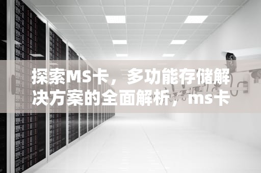 探索MS卡，多功能存储解决方案的全面解析，ms卡和sd卡区别