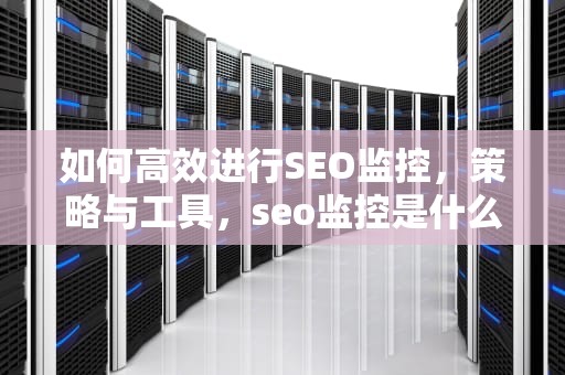 如何高效进行SEO监控，策略与工具，seo监控是什么意思