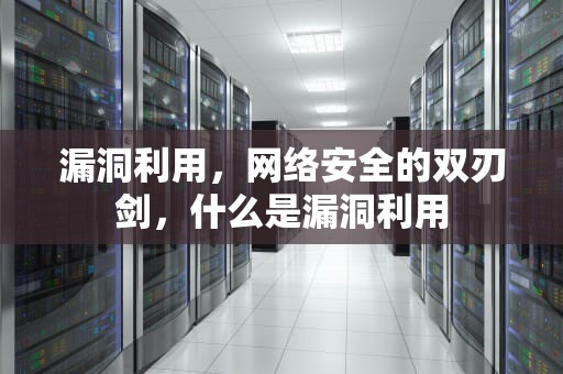 漏洞利用，网络安全的双刃剑，什么是漏洞利用