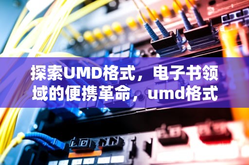探索UMD格式，电子书领域的便携革命，umd格式怎么打开