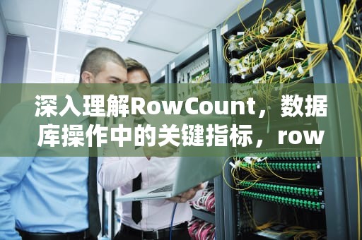 深入理解RowCount，数据库操作中的关键指标，rowcount函数