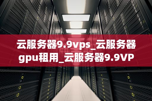 云服务器9.9vps_云服务器gpu租用_云服务器9.9VPS：打造高效、稳定、安全的网络环境