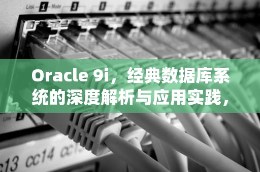 Oracle 9i，经典数据库系统的深度解析与应用实践，oracle9i是什么软件