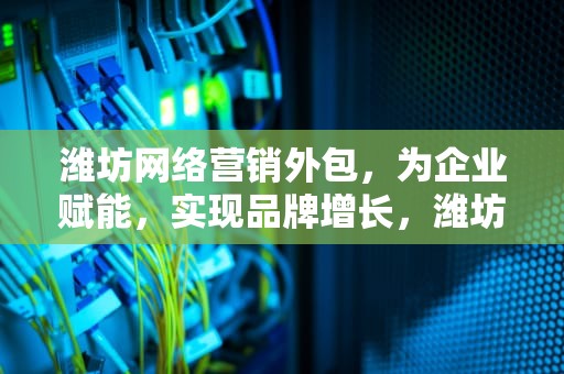 潍坊网络营销外包，为企业赋能，实现品牌增长，潍坊网络营销外包公司
