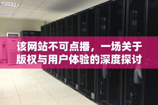 该网站不可点播，一场关于版权与用户体验的深度探讨，该网站不可点播什么意思