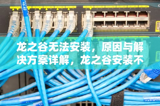 龙之谷无法安装，原因与解决方案详解，龙之谷安装不了