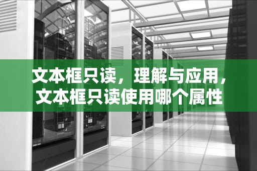文本框只读，理解与应用，文本框只读使用哪个属性