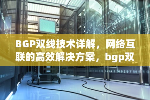 BGP双线技术详解，网络互联的高效解决方案，bgp双线配置