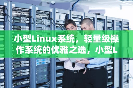 小型Linux系统，轻量级操作系统的优雅之选，小型Linux系统