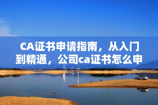 CA证书申请指南，从入门到精通，公司ca证书怎么申请